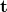\mathbf{t}