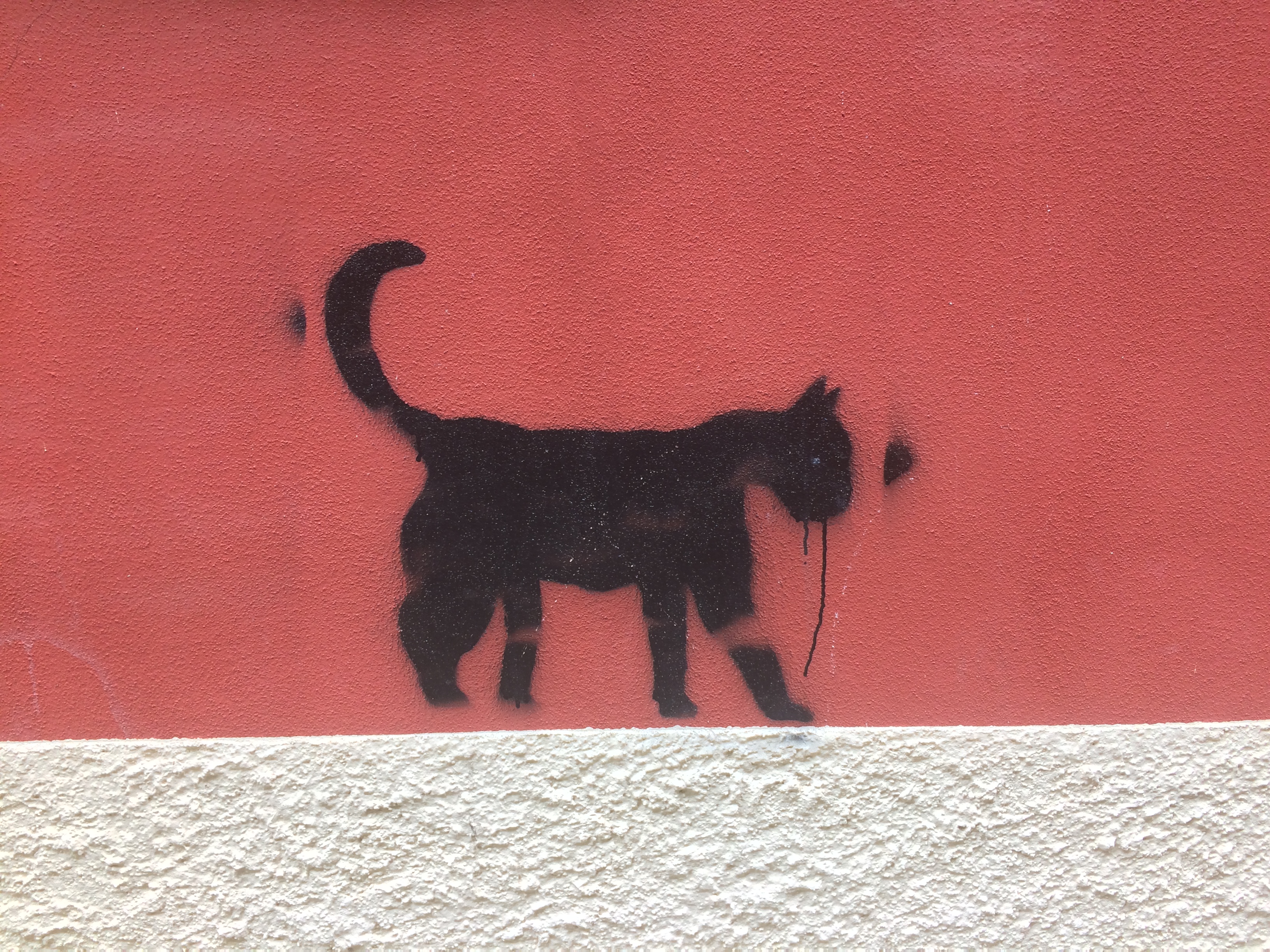 Mountain biking in Italy